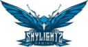 Skylightz Gaming BGMI Team